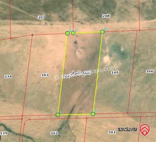 قطعة أرض مساحة 12 دونم للبيع من أراضي جنوب عمان - في منطقة الفالج الشرقي