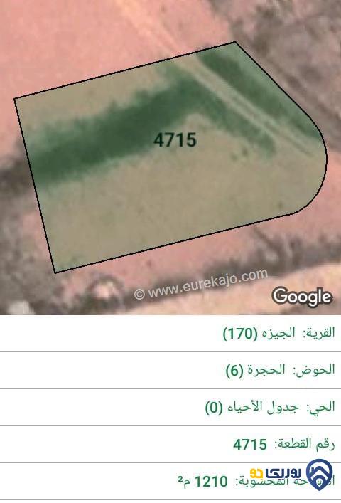ارض للبيع مساحة 1210م في الجيزة - عمان 