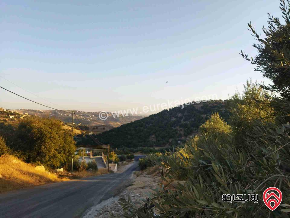 قطعة أرض مساحة 623م للبيع في عمان - بدر الجديدة عمان الغربية تصلح للعمار ويحتوي اشجار زيتون مطلة على الجهة الجنوبية