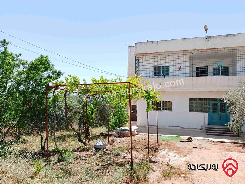 بيت طابقين مساحة 380م على أرض 10 دونم للبيع في اربد لواء بني كنانة - حبراص