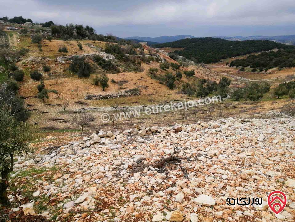 أرض مساحة 15200م للبيع في عجلون قرية عين جنا