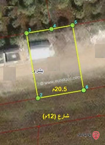قطعة ارض 561متر للبيع في اربد من اراضي بشرى - ضمن حوض رجوم السود الشمالي 