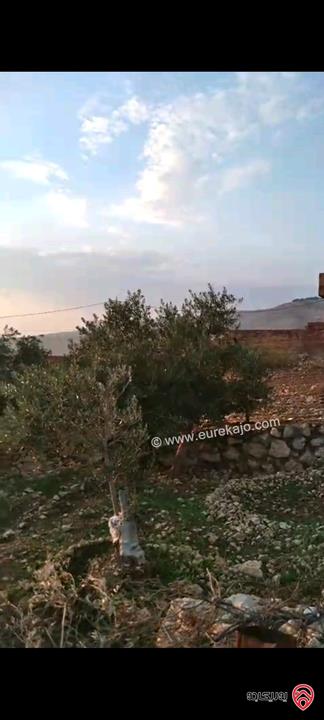 أرض مساحة 546م  للبيع في عمان - ناعور