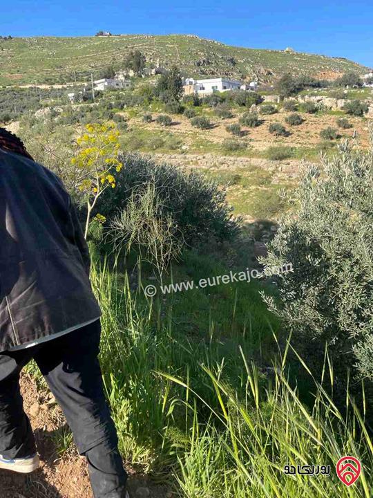 أرض مساحة 4500م للبيع في البلقاء - الفحيص ماحص وادي شعيب