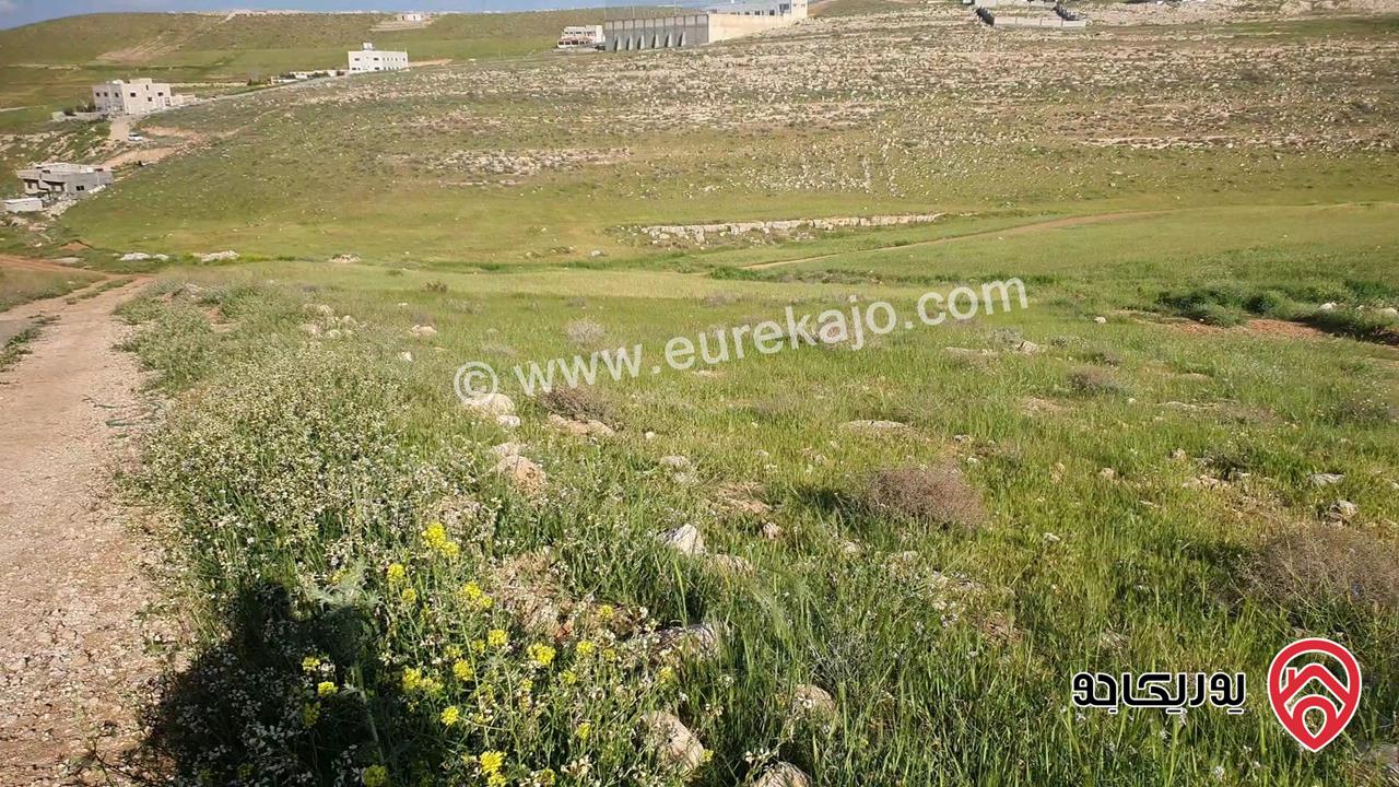 قطعة أرض مساحة 539م للبيع في الزرقاء - جريبا