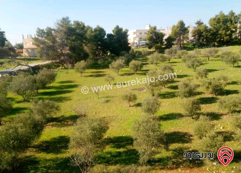 ارض مساحة 1 دونم و 27م للبيع في السلط القسام الغربي بطنا 