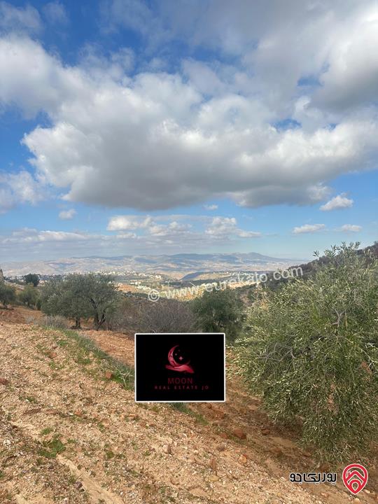 قطعة ارض مساحة 3 دونم و 400م مزروعة زيتون للبيع في السلط الديرة قرب زي 