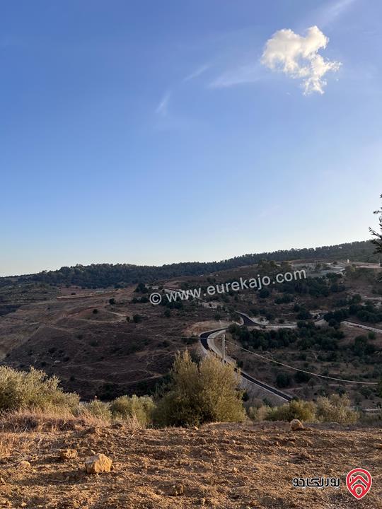 مزرعة مساحة الأرض 6 دونم و 500م للبيع في جرش منطقة جمله قريبة من محمية دبين اطلاله جميلة جداً وسعر حرق وربنا يبارك لصاحب النصيب