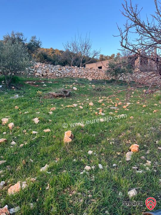 ارض مساحة 1 دونم و 982م للبيع في عجلون عنجرة سرابيس
