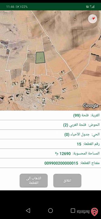 قطعة ارض زراعية مساحة 12 دونم و 690م للبيع في مادبا - منطقة فلحة أراضي ذيبان