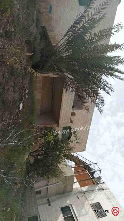 بيت مستقل مساحة 230م على أرض 1256م للبيع في عمان - عين الباشا 