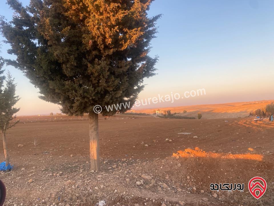 قطعة ارض مساحة 24 دونم للبيع في مادبا / ذيبان 