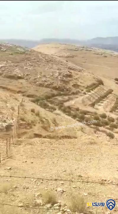 قطعة أرض مساحة 50 دنم في الغور الشمالي -اربد