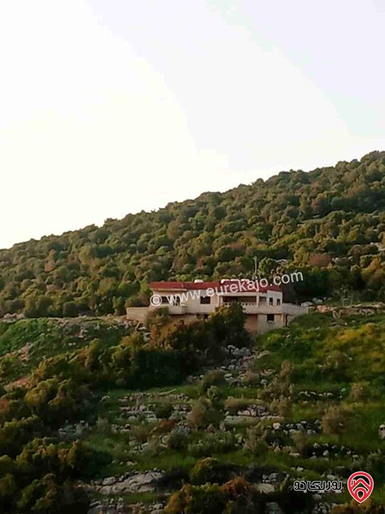 فيلا مستقلة مفروشة مساحة 250م للايجار في عجلون مثلث اشتفينا محنا 