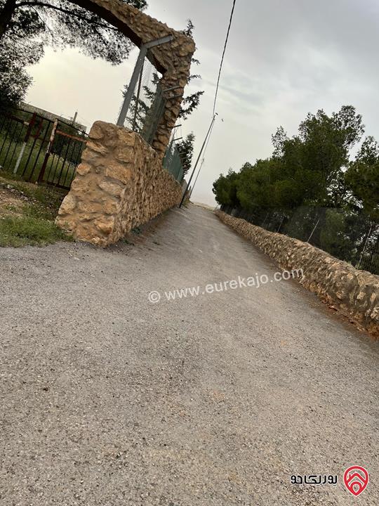 قطعة أرض مميزة مساحة 5 دونم للبيع في عمان - ناعور المشقر