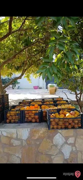 مزرعة مساحة الأرض 2 دونم والبناء 175م طابقين للبيع في البلقاء - دير علا
