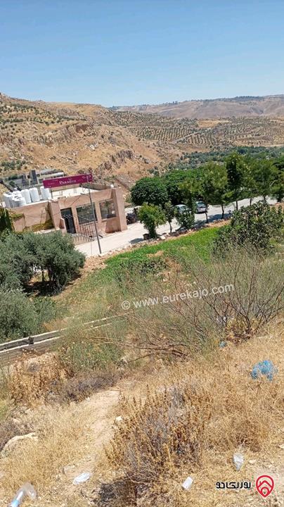 أرض زراعية مساحة 3 دونم و 644م للبيع في عمان - مرج الحمام البحاث 