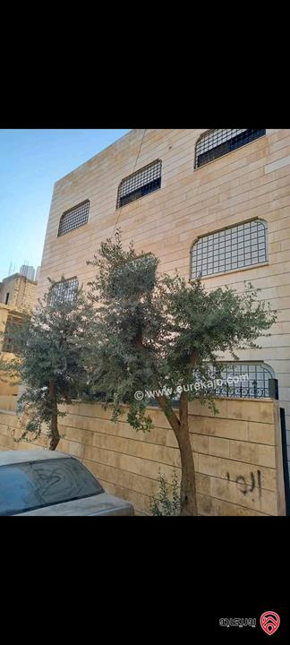 بناية سكنية ثلاث طوابق على أرض 250م للبيع في عمان - أم نوارة