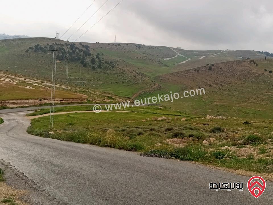 أرض مساحة 3 دونم و 600م للبيع في الزرقاء - بيرين