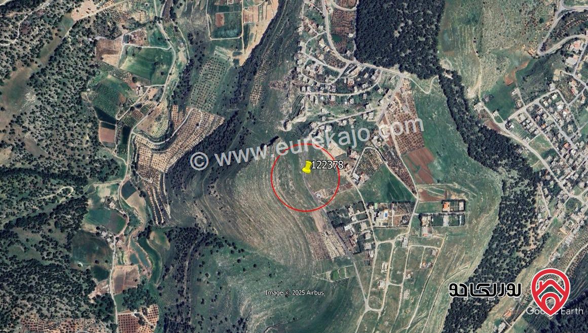 أرض مساحة 10000م للبيع في البلقاء - ام انجاصة