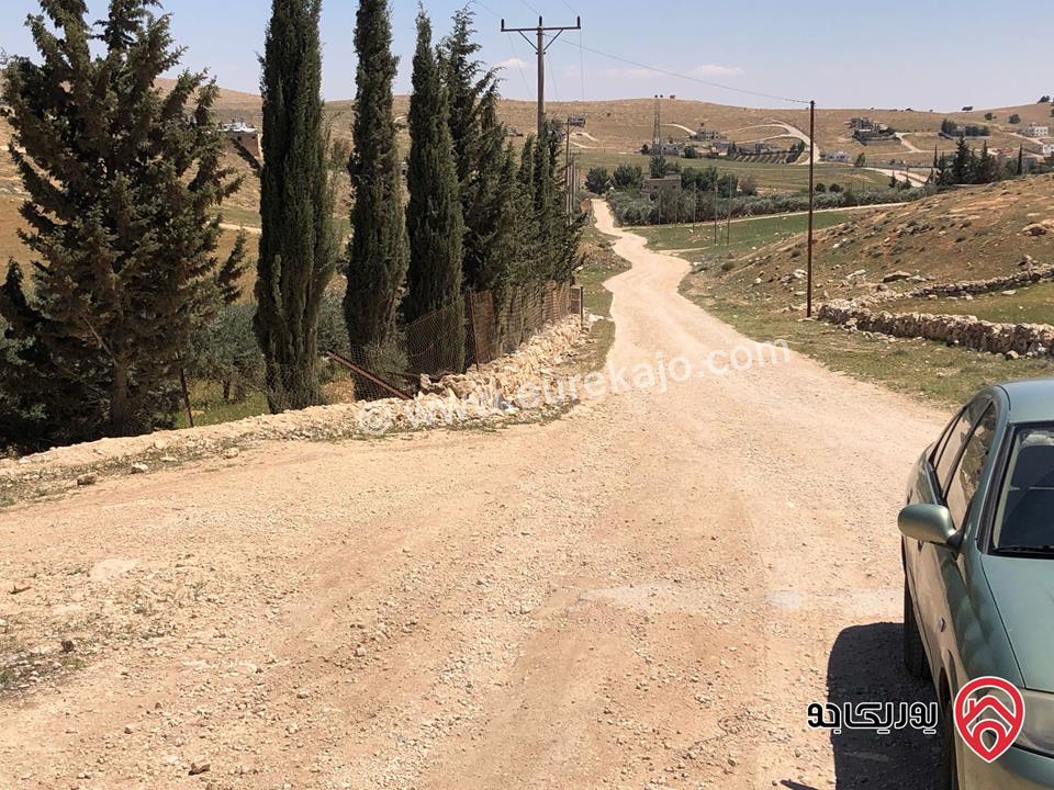 ارض مساحة 4 دونم للبيع في المفرق - بلعما - عين والمعمرية 