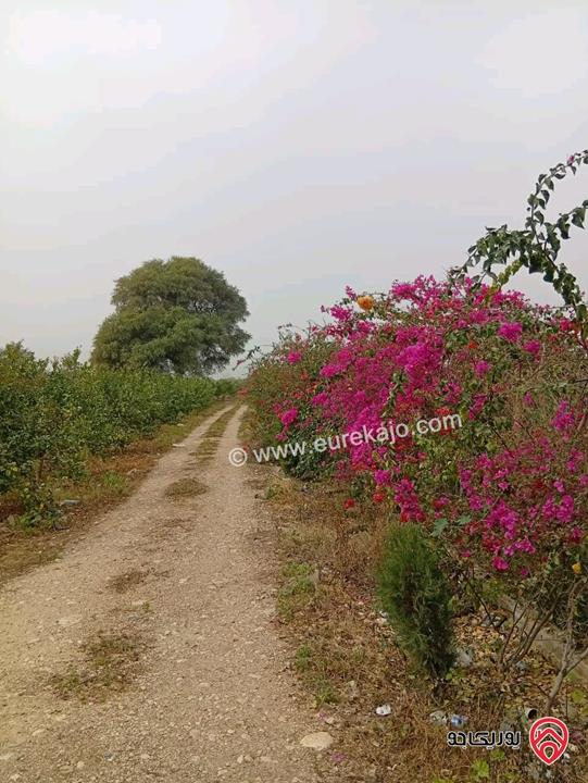 قطعة ارض مساحة 3 دونم و 400م للبيع في اربد - الأغوار الشمالية 