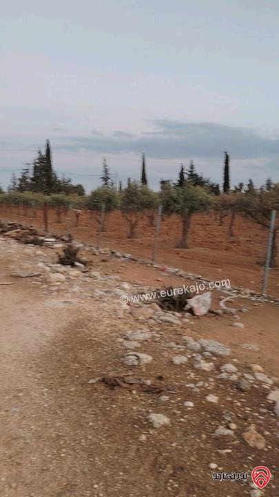 ارض مساحة 4 دونم و 500م للبيع في عمان - ام العمد حوض الحوام 