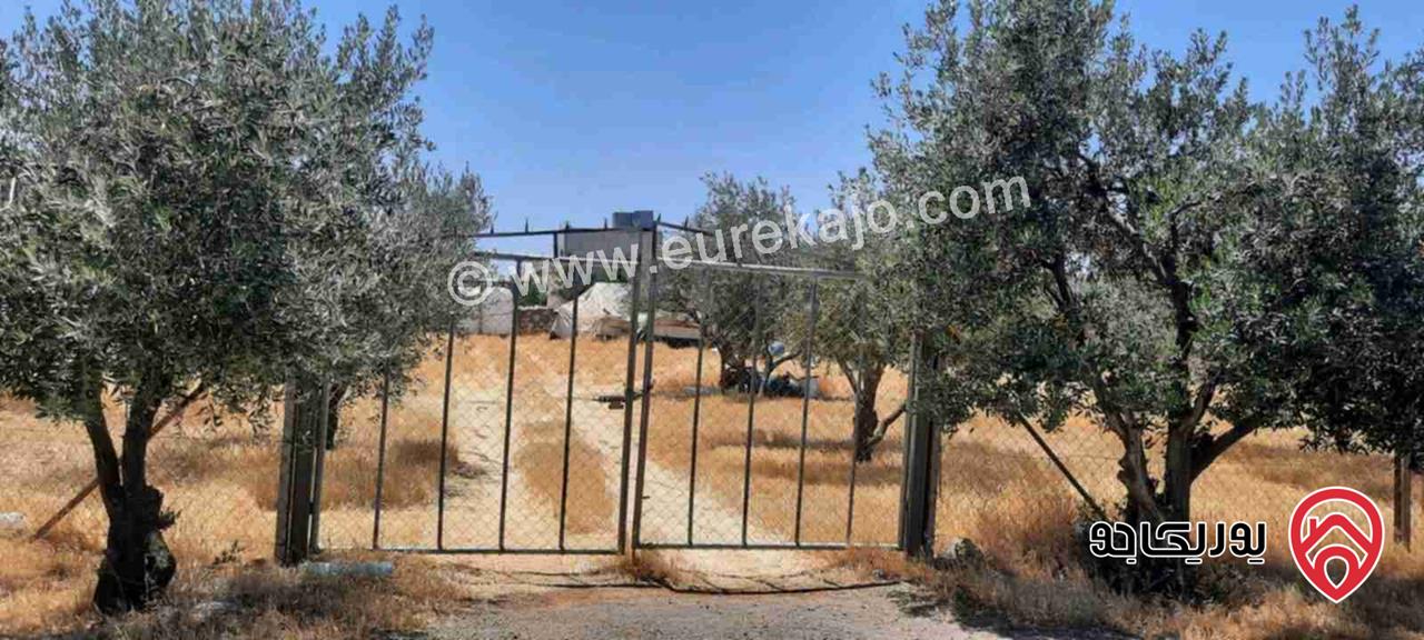 أرض مساحة 1 دونم و 43م للبيع في عمان - شفا بدران من المالك مباشرة