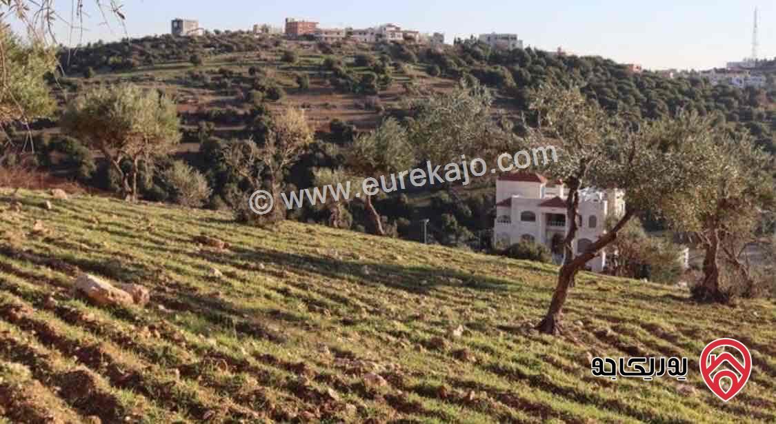 أرض مساحة 2 دونم للبيع في عمان - اجمل مناطق بدر الجديدة حوض القبه