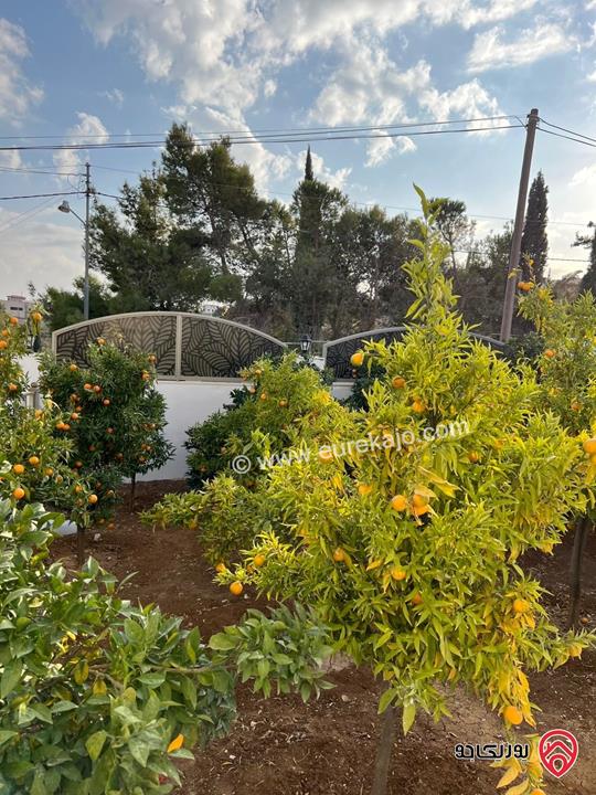 فيلا مستقلة فاخرة مساحة الارض 500م مساحة البناء 250م للبيع في عمان - ناعور