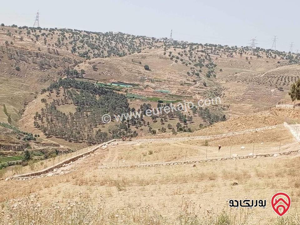أرض مساحة 3 دونم و 796م قوشان مستقل للبيع من المالك مباشرة في جرش مطلة على سيل جرش، سنسال متر وشيك ارتفاع مترين على كامل القطعة بالاضافة الى شجر زيتون وحمضيات عدد 70