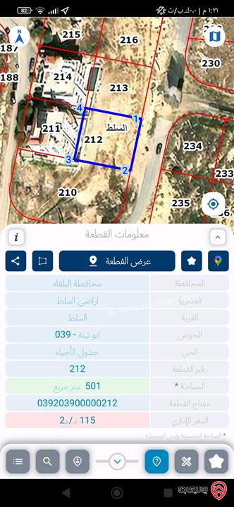 ارض مساحة 500م للبيع في السلط - السرو حوض ابو تينة 