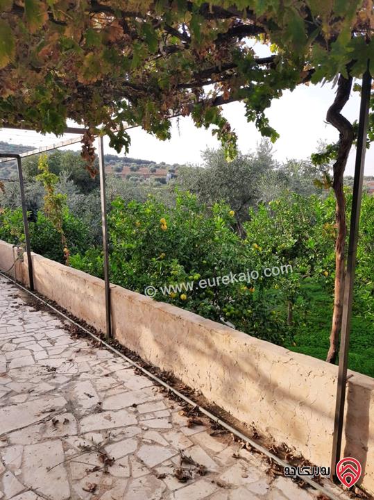 مزرعة زيتون مساحة الأرض 8 دونم و 300م و البناء مساحة 100م للبيع في السلط