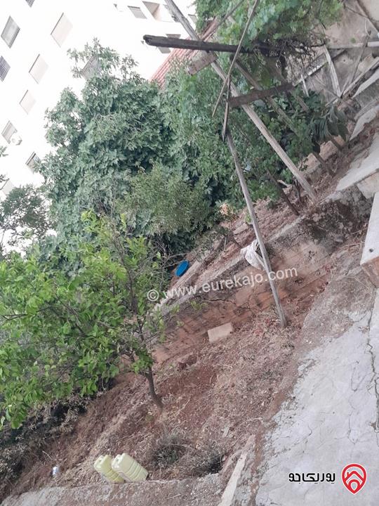 بيت مستقل مساحة 200م على أرض 520م للبيع في عمان - طبربور 