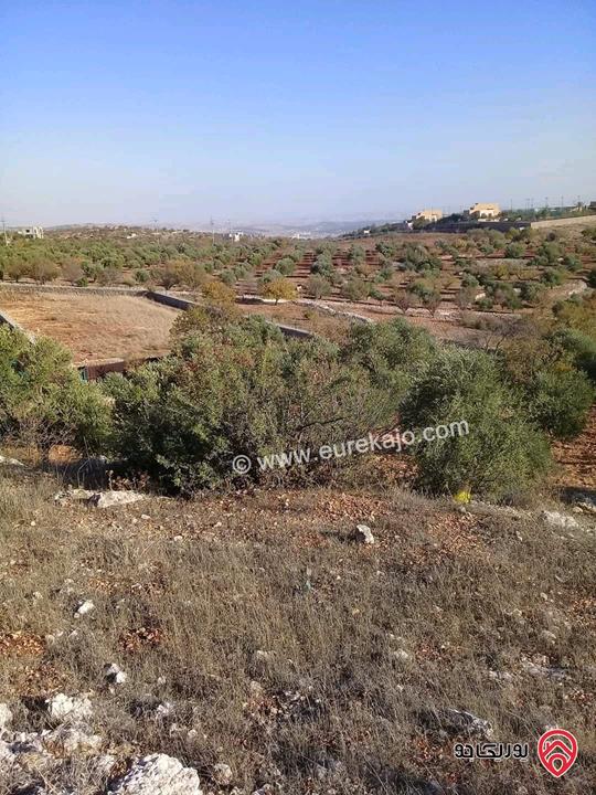 مزرعة مساحة الأرض 16 دونم للبيع في جرش - سوف