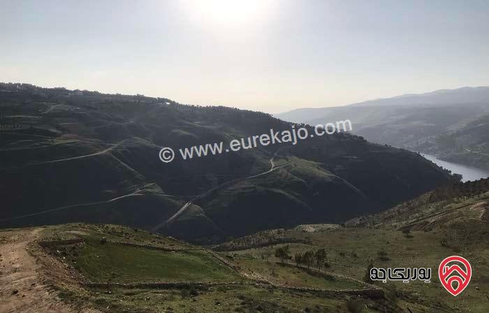 قطعة ارض تصلح لبناء شاليه مساحة 1 دونم و 483م للبيع في جرش