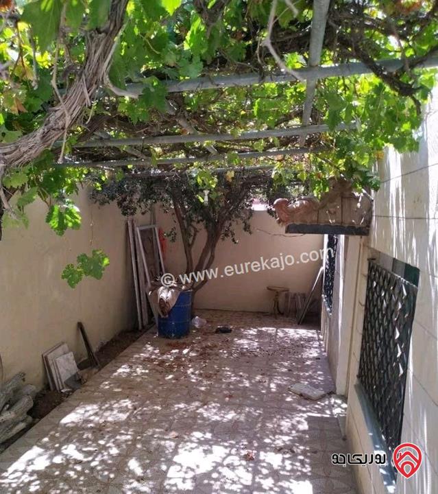 شقة فارغة أرضية مساحة 225م داخلي و 100م خارجي للايجار في عمان - الجبيهة