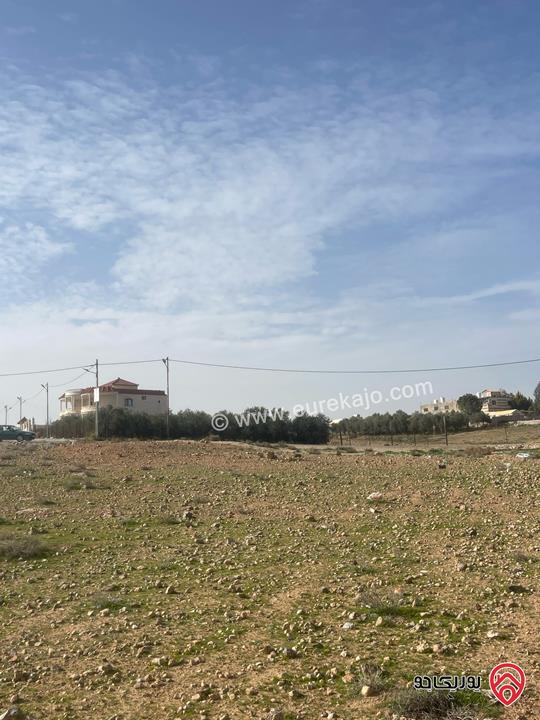 قطعة أرض مساحة 10 دونم للبيع في المفرق