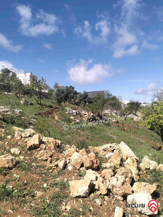قطعة ارض مساحة 2 دونم و 726م للبيع في عجلون عبين موقع مرتفع ومميز واصل جميع الخدمات تصلح لمزرعة أو شاليه أو فيلا