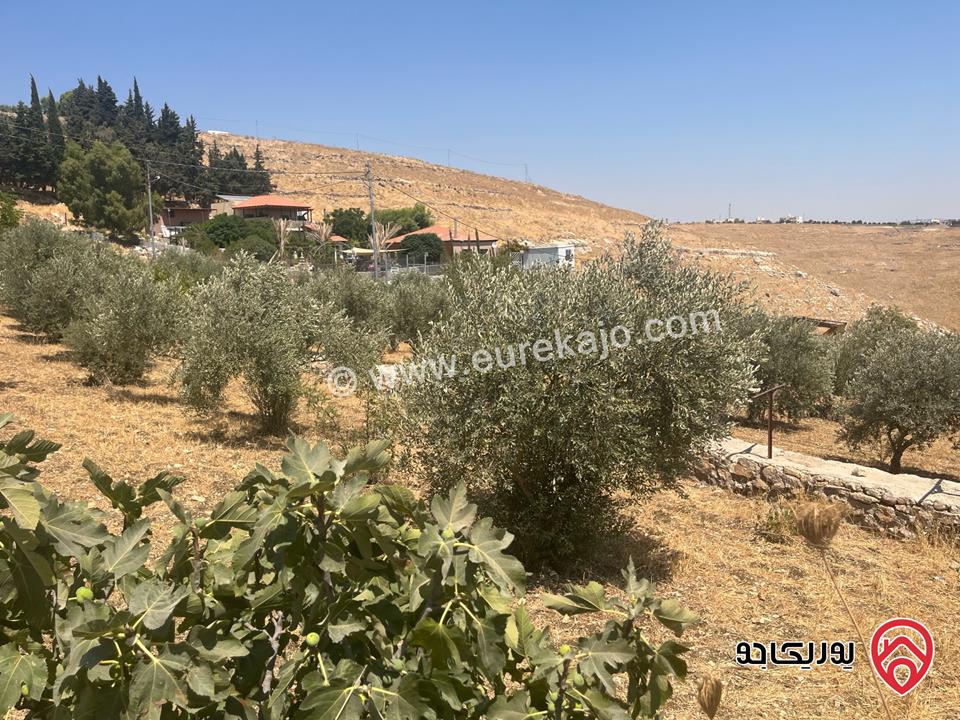أرض مساحة 3 دونم و 600م للبيع في السلط