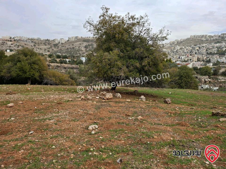قطعة أرض مساحة 603م للبيع من أراضي غرب عمان - منطقة النعير منطقة وادي السير من المالك مباشرة 