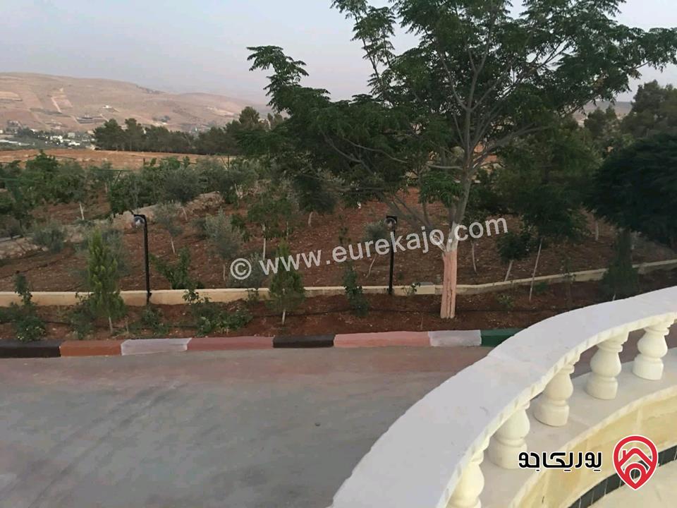 مزرعة مساحة الأرض 9 دونم و 500م والبناء 370م للبيع في المفرق - منطقة دحل