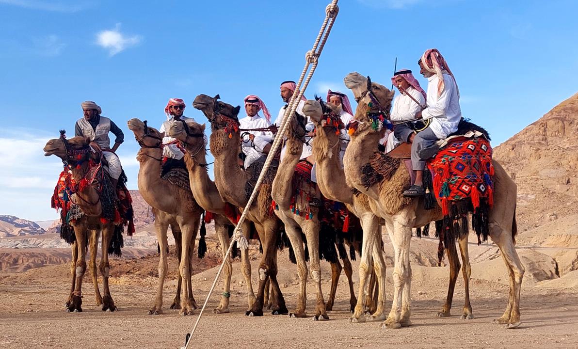 قاسم السعيديين 