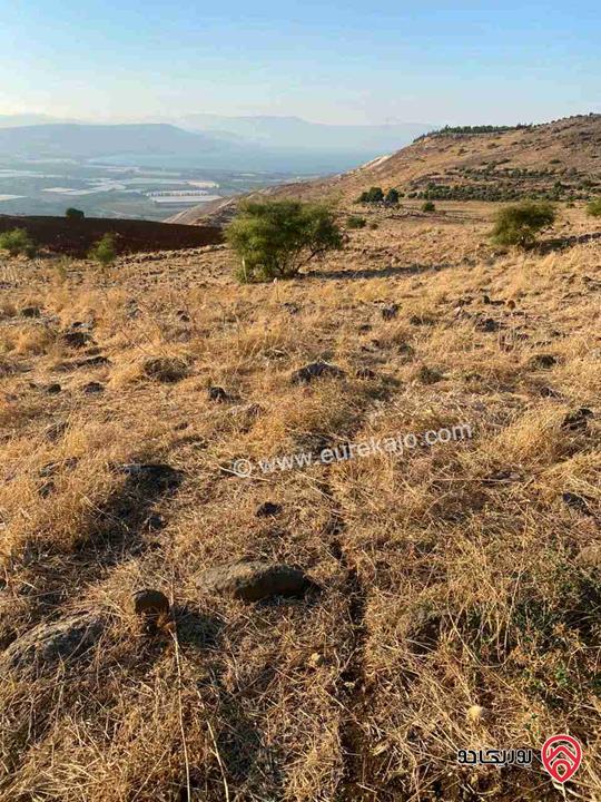 قطعة الأرض مساحة 1200م للبيع في اربد - أم قيس