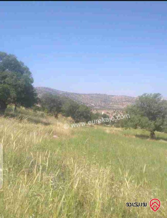 قطعة أرض مساحة 3400م استثمارية للبيع في الزرقاء - العالوك بيرين  قرب الكمشه