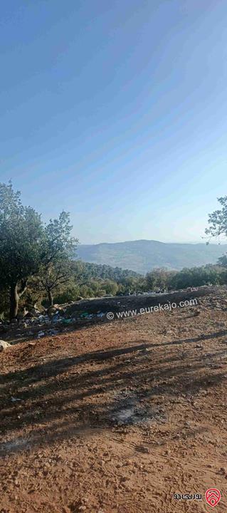 أرض مساحة 650متر للبيع في عمان - ابو السوس أسكان المهندسين