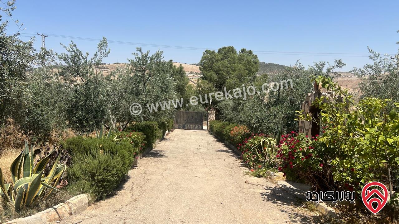 مزرعة مساحة 9 دونم و 708م للبيع في البلقاء - بمنطقة تل الرمان بالقرب من مطعم خيل و ليل 