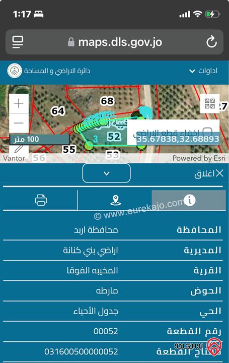 قطع أراضي أرقامهم من 46 - 60 بمساحات مختلفة للبيع في اربد ضمن اراضي بني كنانه المخيبه الفوقا حوض مارطه