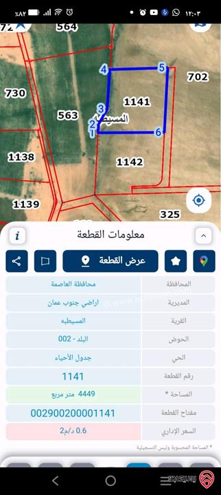 قطعة أرض مساحة 4 دونم و 500م للبيع من أراضي جنوب عمان - المسيطبه