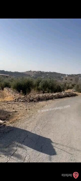 أرض مساحة 1320م للبيع في عمان - أراضي ناعور حسبان